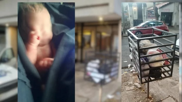 Encontraron a una recién nacida en un cesto de basura en San Martín