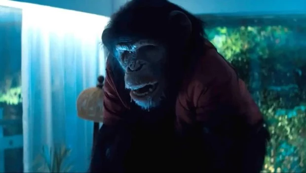 Ben, un simio fuera de control.