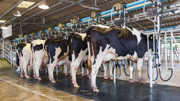 La producción de leche creció 9,7% en 2025