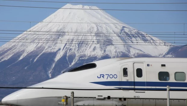 De biomímesis y artes