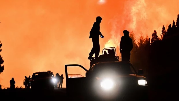 Incendios en la Patagonia y el "nazi por default", la variante inercial del antisemitismo