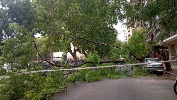 Una intensa ráfaga de viento provocó daños en la zona céntrica de Mar del Plata