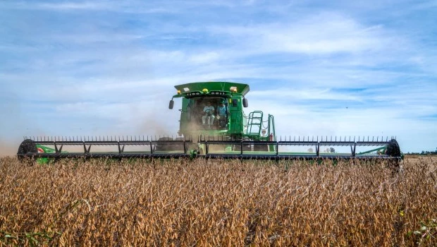 Si el tiempo lo permite, la cosecha de soja también será récord. El productor invierte y se expande al calor de las políticas oficiales, aunque los precios internacionales no acompañan.