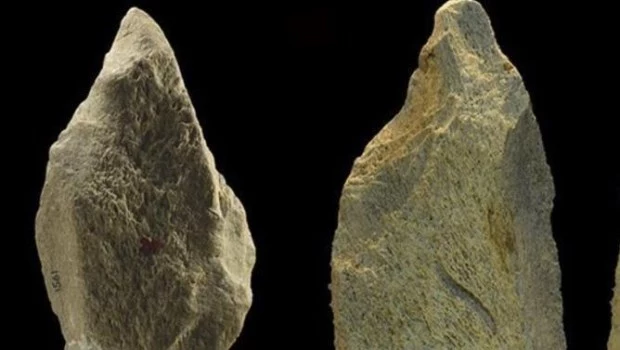 Hallan la herramienta de hueso de elefante más antigua de Europa, de hace 480.000 años