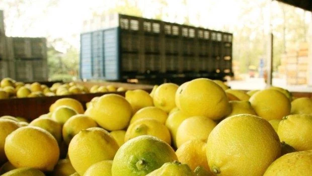 Argentina alcanzó en 2025 un récord de exportaciones agroindustriales en toneladas