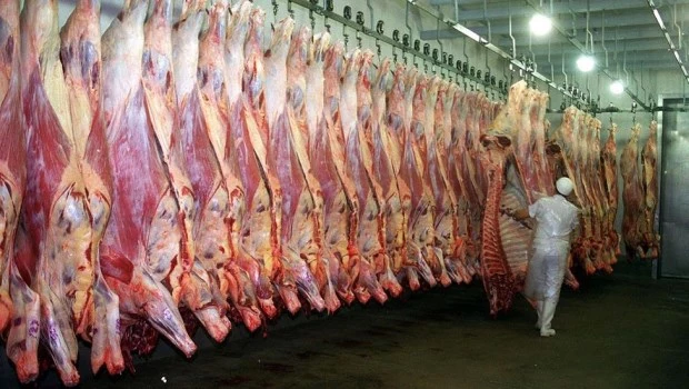 El Gobierno oficializó la distribución de 19.956,345 toneladas de carne a Estados Unidos
