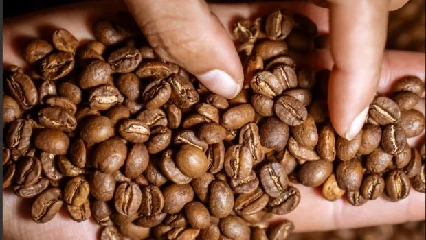 Café de especialidad y tono federal