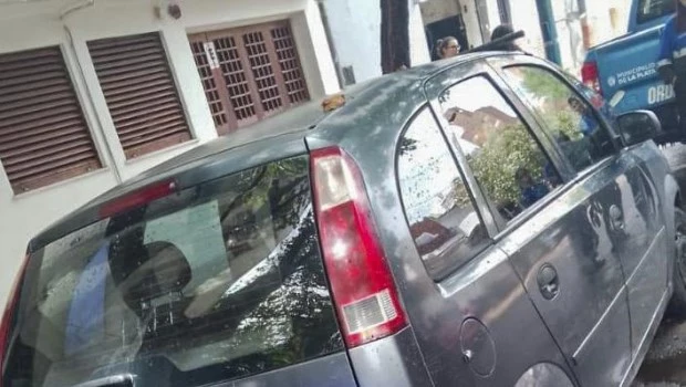 Un hombre peruano atropelló y mató en La Plata a la estudiante universitaria