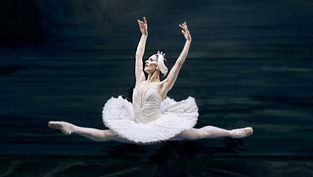 Polémica: dejarán de ser gratuitos los programas de mano del Colón