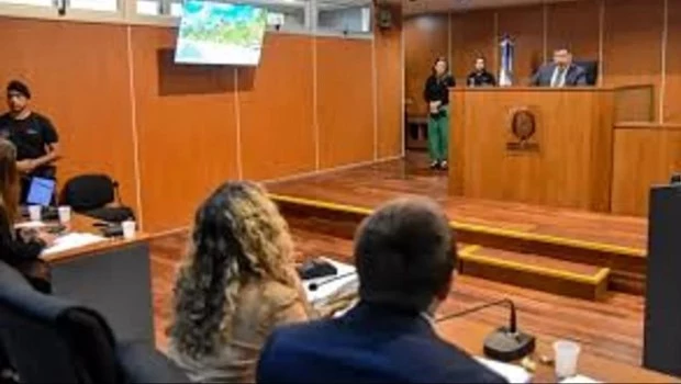 Condenaron a prisión perpetua al responsable del femicidio de una joven en Salta