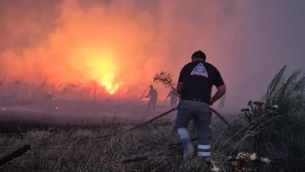 Incendios forestales en Mar del Plata: más de 200 hectáreas arrasadas