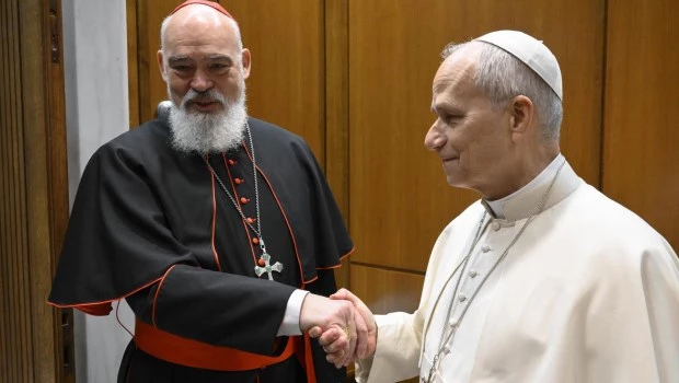 El Papa recibió al arzobispo de Teherán, evacuado por la guerra