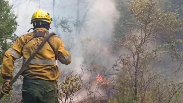 El Gobierno creó el Registro Nacional de Entidades de Bomberos Voluntarios