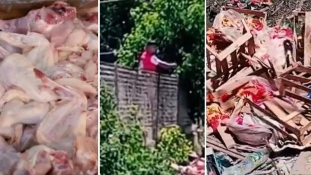 La Municipalidad de Merlo clausuró una empresa avícola que arrojaba sus residuos a la vía pública