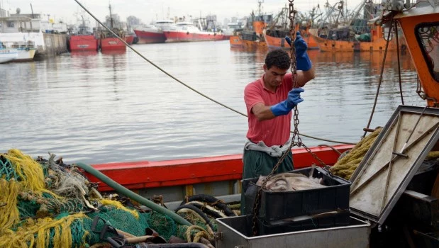 La estrella del primer mes del 2026 fue la pesca. Se expandió año contra año más de un 50%.
