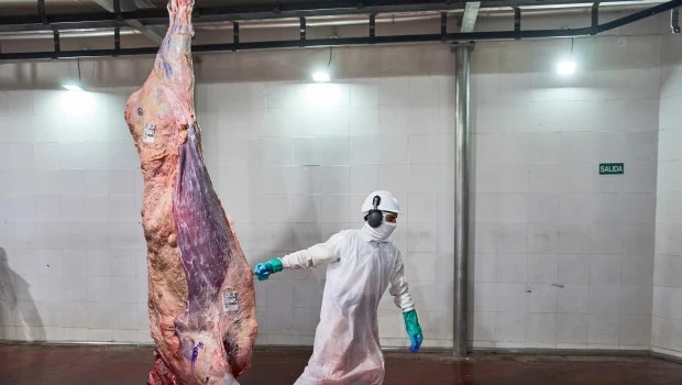En el primer bimestre del año se produjeron 456,7 mil toneladas de carne, que provienen de 1,94 millones de cabezas faenadas. En relación con el mismo período del año pasado, se trata de un ajuste de volúmenes de 9,1%.