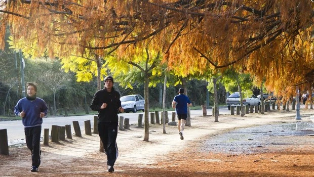 El otoño se hace sentir y llega el frío
