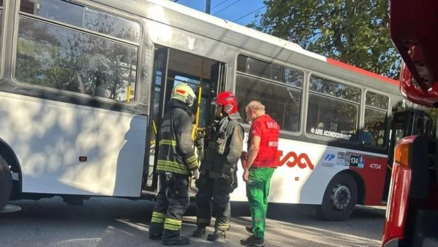 Tragedia en Villa Devoto: se le trabó la mochila en la puerta del colectivo cuando bajaba, cayó al asfalto y murió atropellada - Image 3