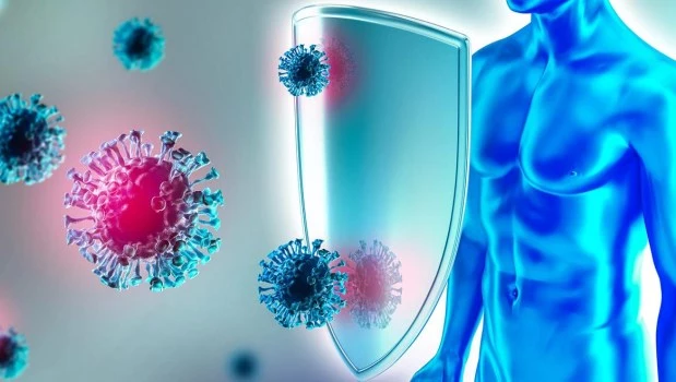 La vitamina D se asocia con la respuesta inmunitaria al microbioma intestinal