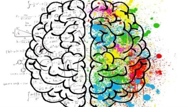 La política y los cerebros de izquierda y derecha