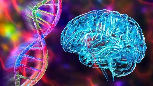 Identifican cambios clave en el ADN en cerebros de personas con Alzheimer