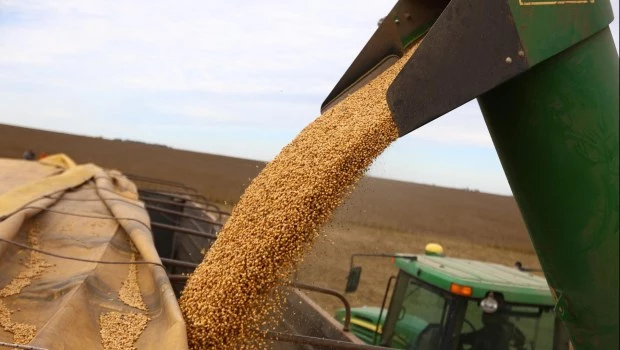 Las ventas de productos primarios redondearon los u$s 2.349 millones (+56,2%), mientras que las manufacturas de origen agropecuario facturaron u$s 2.659 millones (+18,0%).