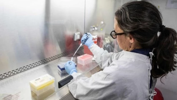 Hantavirus: alerta en Bariloche por un hombre que fue internado en grave estado