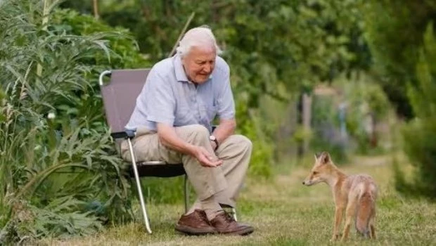 Durante un siglo, la vida de Attenborough ha estado íntimamente ligada al creciente conocimiento científico sobre el mundo natural.