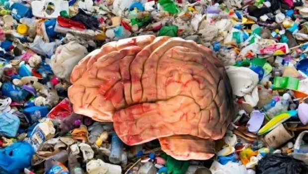 Invasión de los microplásticos: el cerebro en emergencia