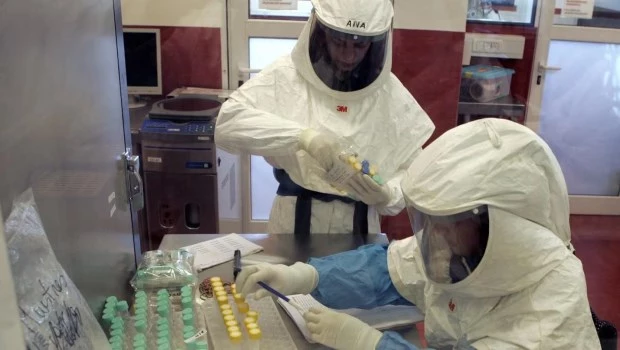 En un laboratorio de campaña, bajo protocolos rigurosos, se identifican las especies y se toman muestras de sangre y tejidos.