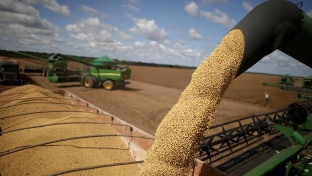 Aseguran que la baja de retenciones trae “alivio a los márgenes agrícolas"