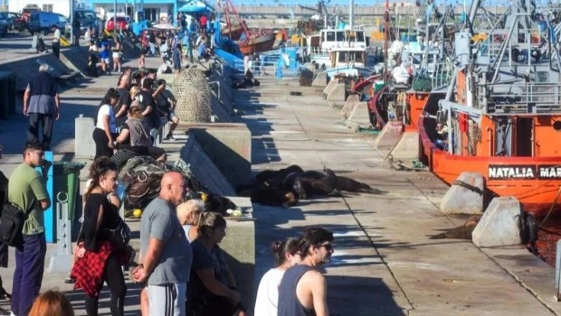 El turismo por el 25 de Mayo movilizó a más de 1,4 millones de personas que gastaron $340.000 millones