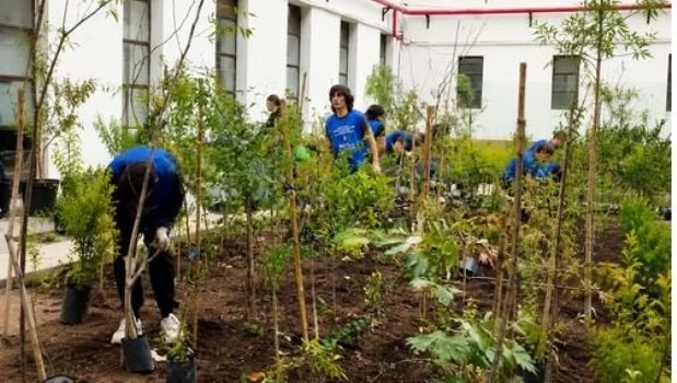 La Ciudad inauguró su tercer microbosque nativo en un espacio de salud pública