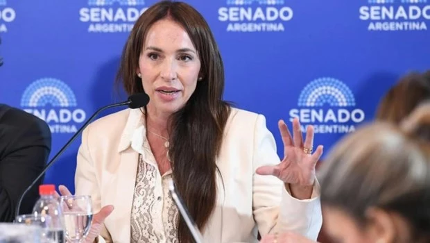Senado: Bullrich acuerda con la oposición postergar el pliego de la jueza Verónica Michelli