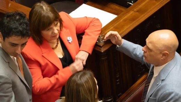 El Senado debate el proyecto que elimina límites a la compra de tierras por extranjeros