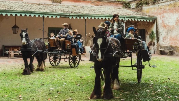 Jaunting: un carruaje único en el país