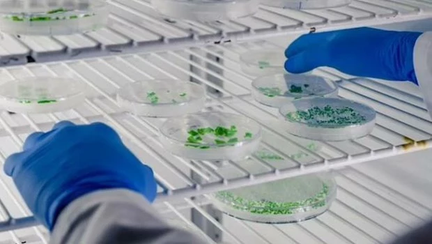 Economía lanzó concurso para acceder al régimen de promoción para biotecnología y nanotecnología