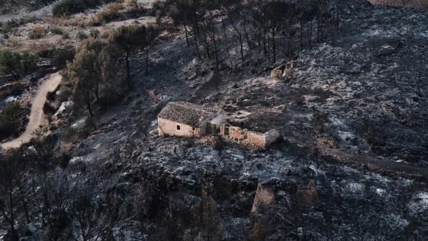 Al menos 12 muertos por un incendio forestal en el sur de España