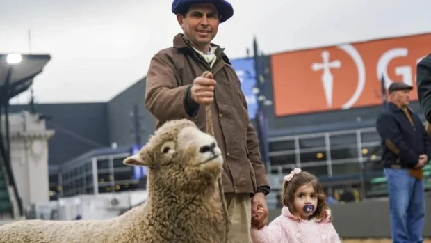 Tim Payne, el primer ejemplar en ingresar a la 138° Exposición Rural de Palermo