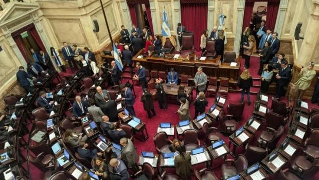 Con el quorum justo, el Senado inicia la sesión para tratar el proyecto de Propiedad Privada
