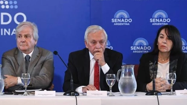 Quiénes no votaron a Pesino