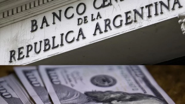 El Banco Central compró USD 345 millones y ya acumula más de USD 13.000 millones en 2026