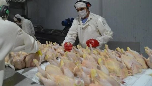 Argentina logra el aval sanitario para volver a exportar carne aviar a la Unión Europea
