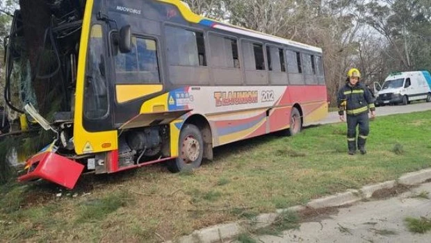 Impactante choque entre un micro de la Línea 202 y un auto en Berisso: más de 20 heridos
