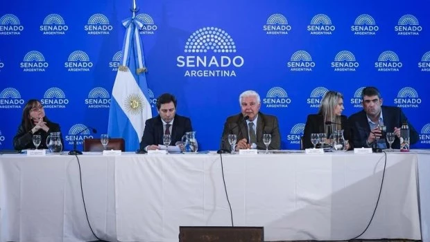 Arrancó en el Senado el debate del “Súper Rigi”