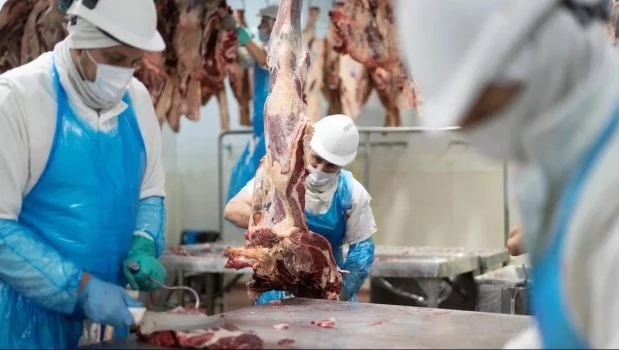 La exportación de carne vacuna creció 10% y generó US$ 2.202 millones