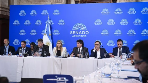 El Senado retomó el debate sobre reforma de la Ley de Sociedades