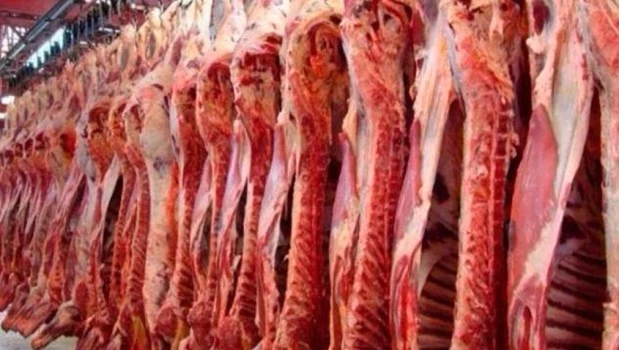 Aumentaron un 41,8% las exportaciones de carne