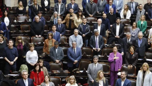 Diputados: la oposición logró aprobar sin sobresaltos su plan de trabajo sobre emergencia en Discapacidad