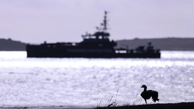Varias empresas y grupos pesqueros fueron denunciados por actividades ilegales en el mar argentino.